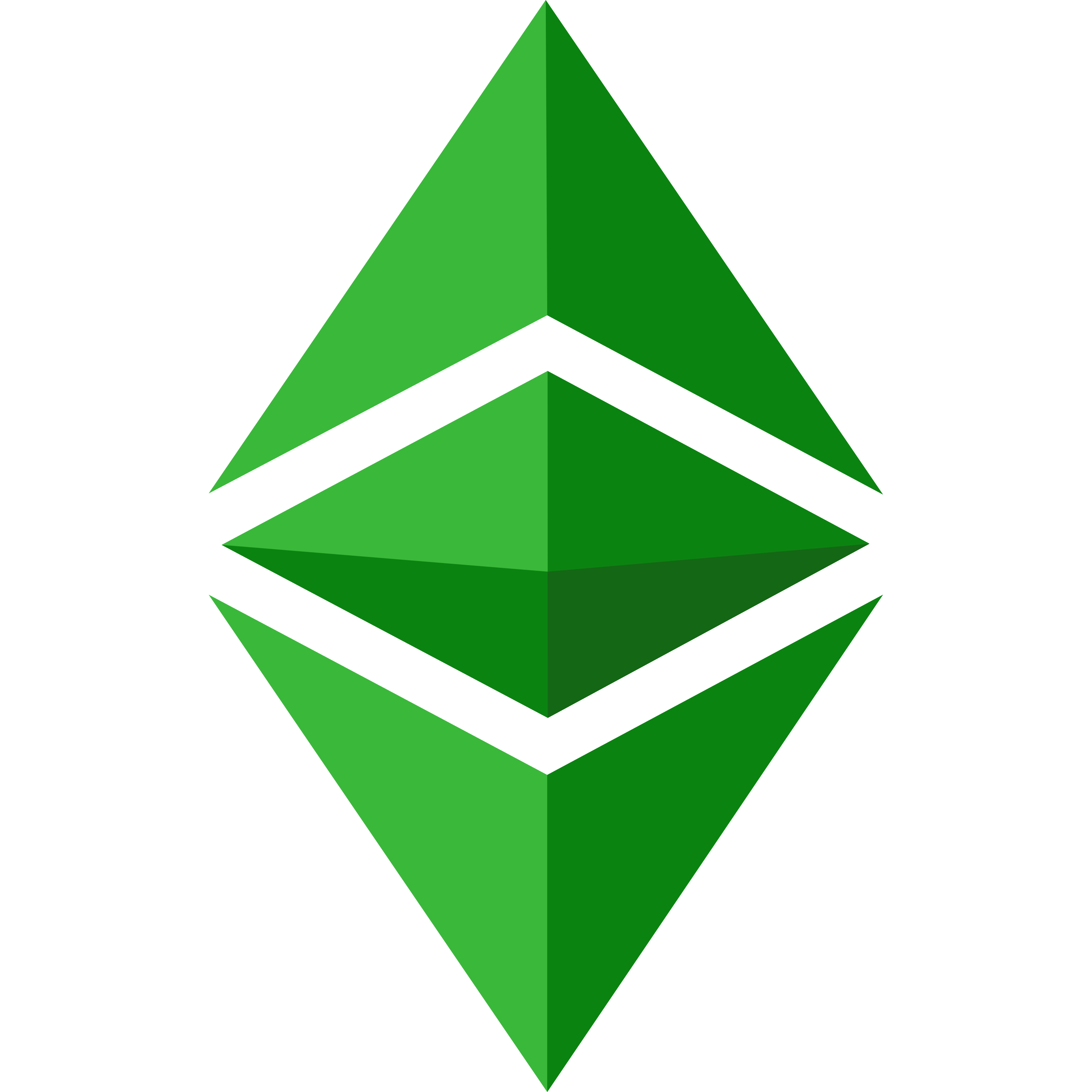 EthereumClassic logo